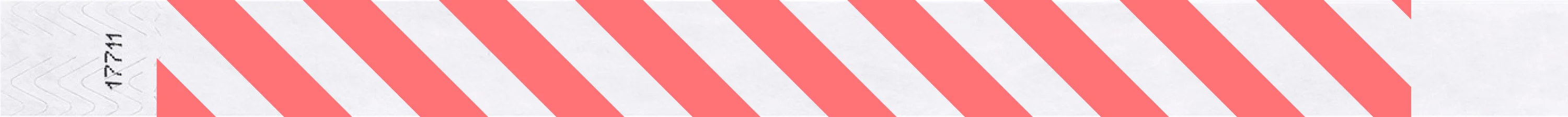 Thumbnail 206